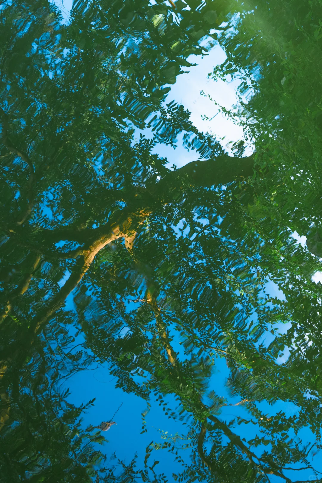 今年去过最冷门的宝藏小城！我很怕它火…