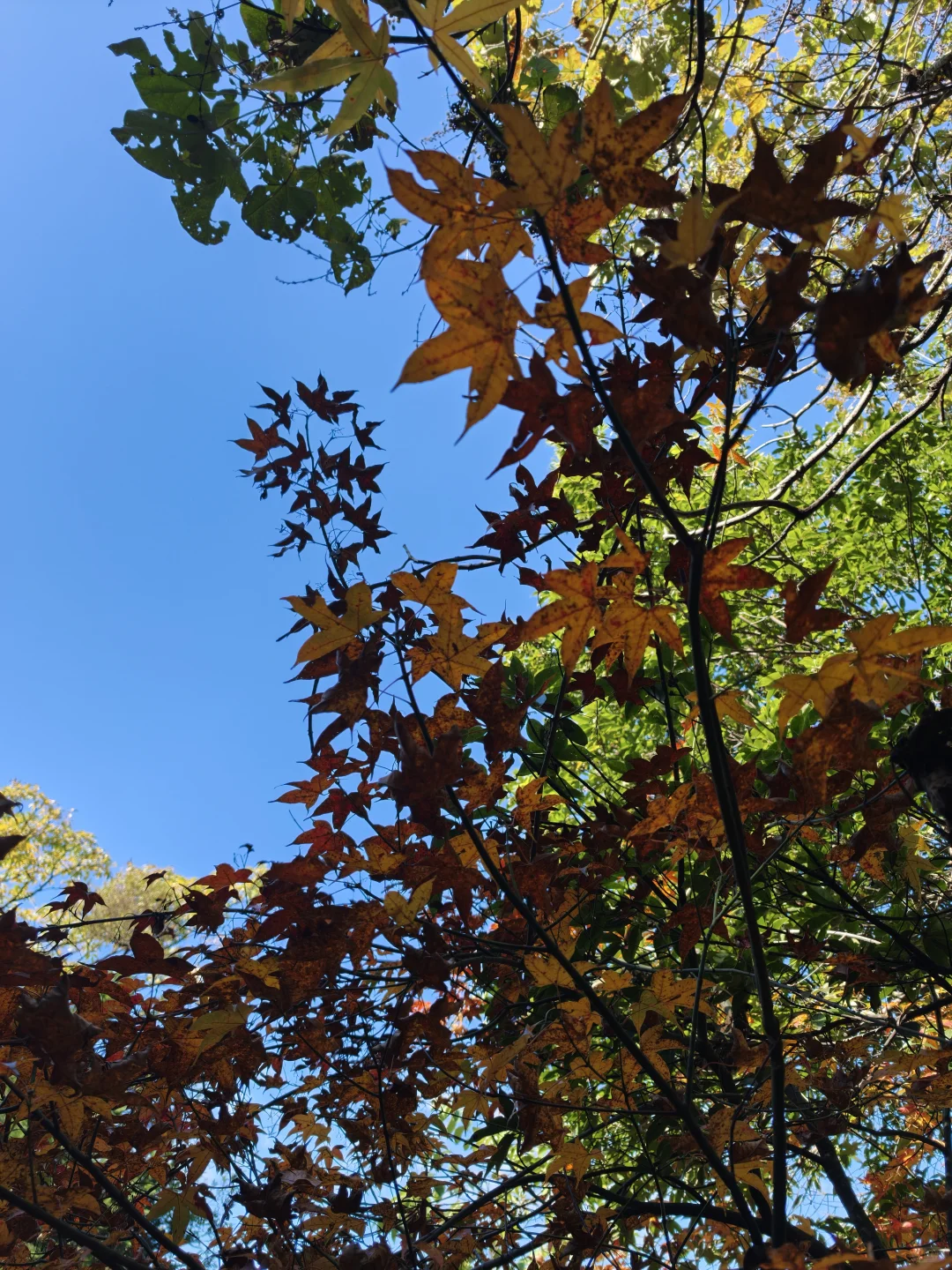 广州自驾小城三天两夜-赣州大余