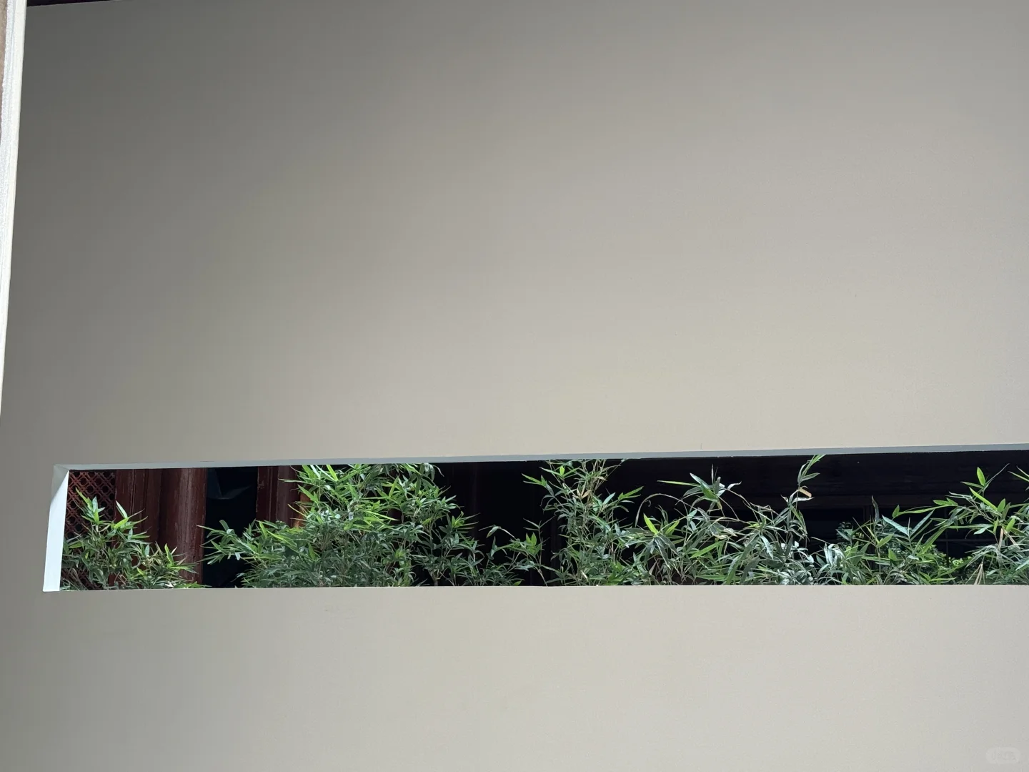 在赣州！久违的城市活力深深吸引了我！