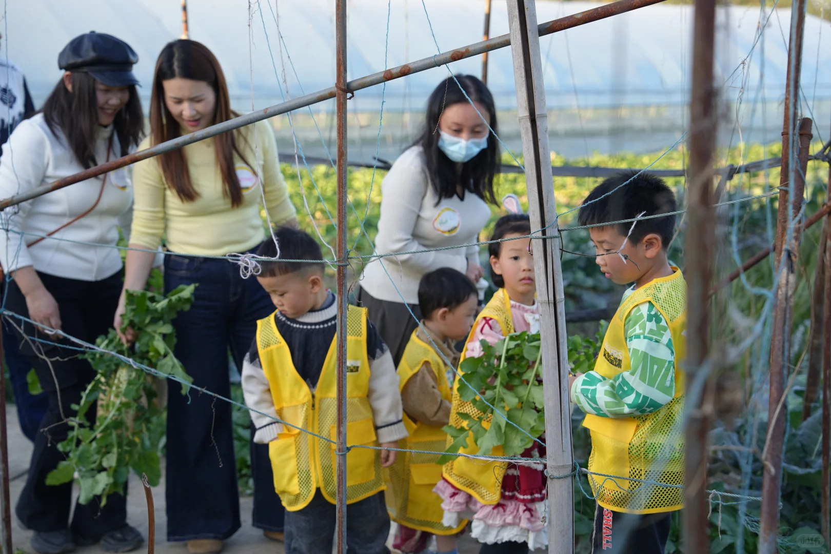 我们只招妈妈的公司开到了江西抚州啦！