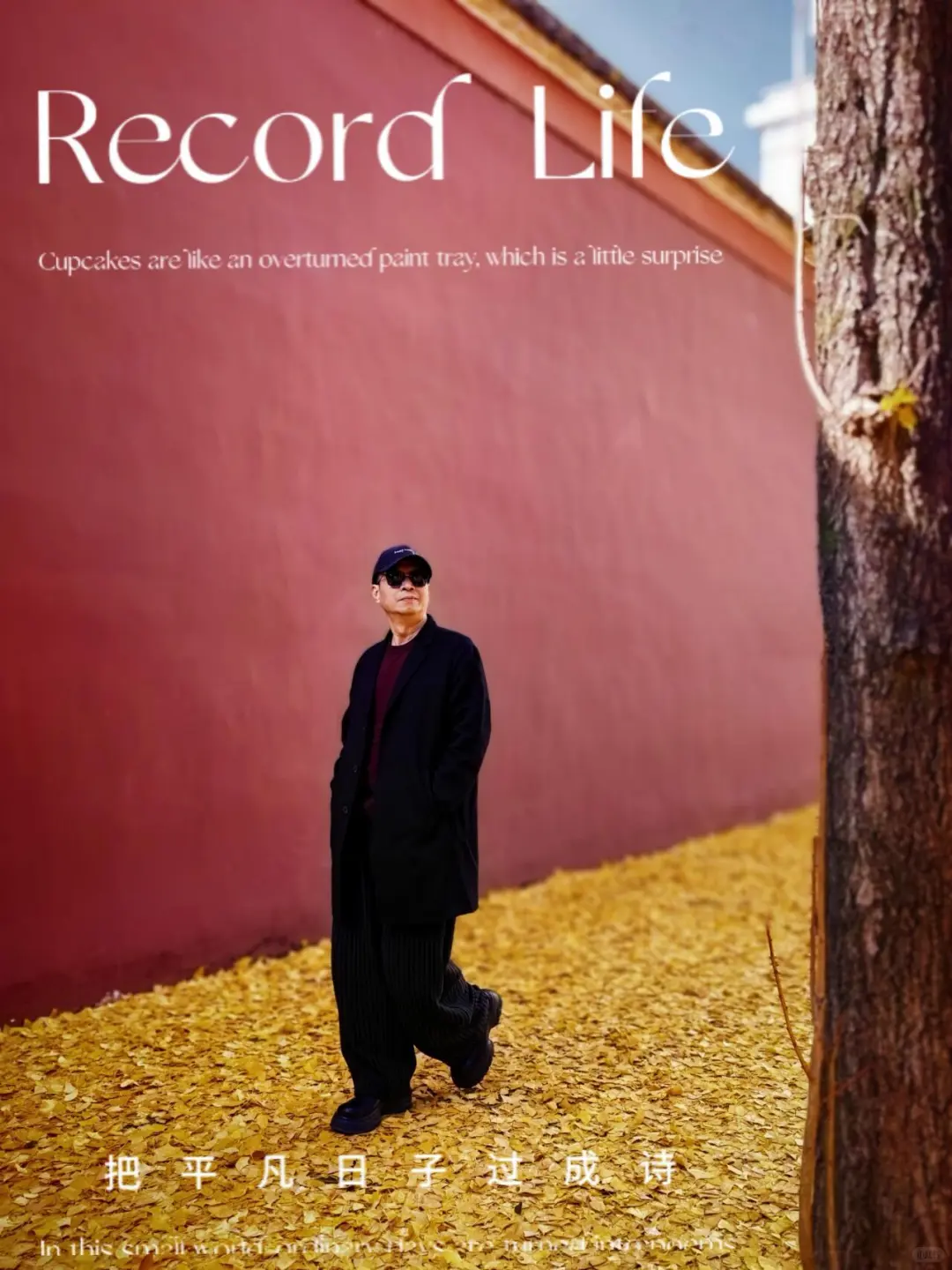 抚州黎川试院-孔庙的浪漫银杏～