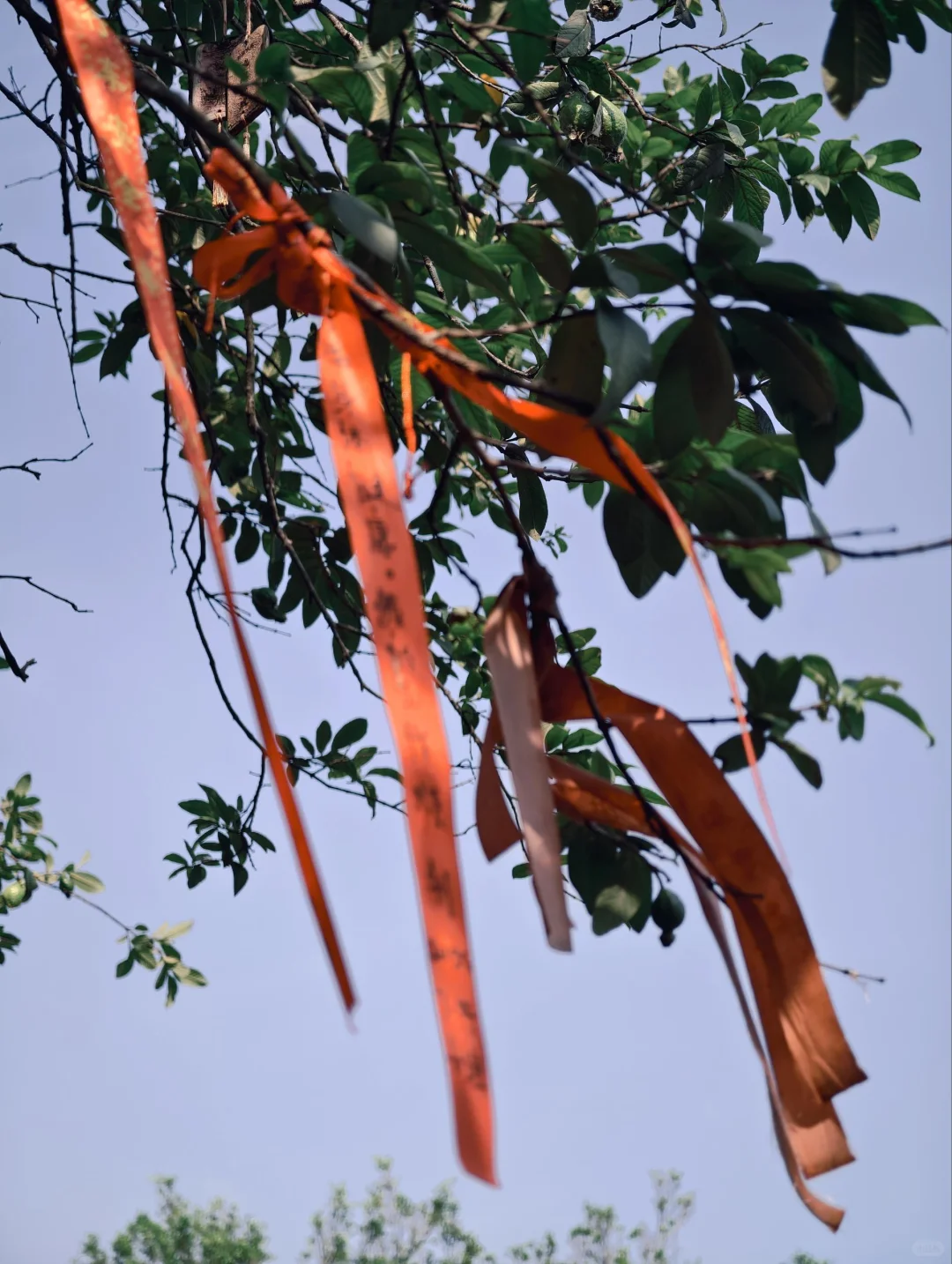 速冲🔥 木陌家具×南风古灶限时快闪