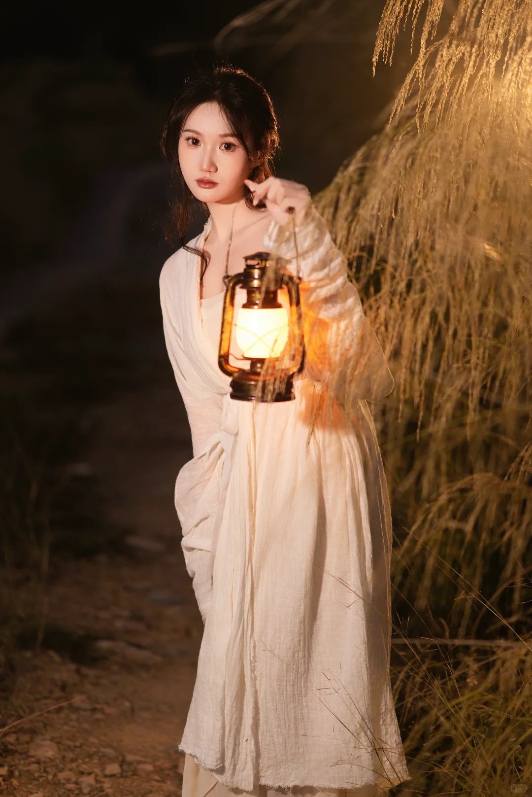 赣州芦苇彻底黄啦