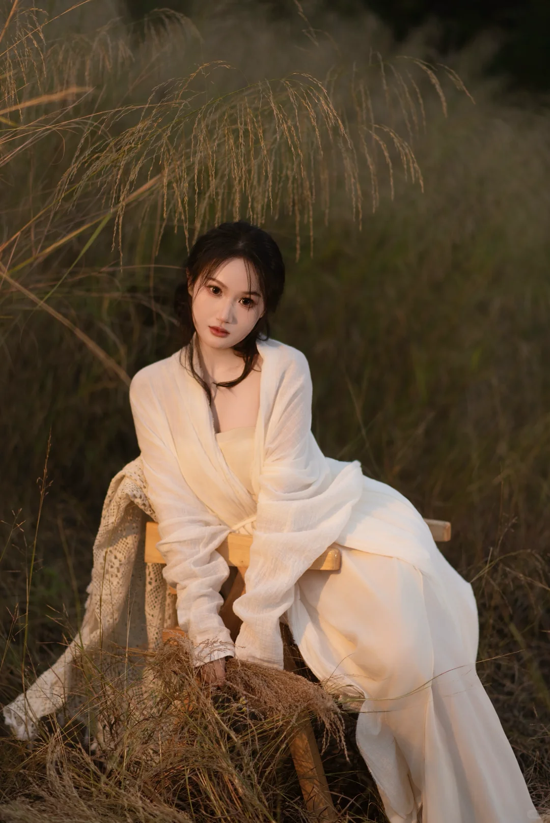 赣州芦苇彻底黄啦