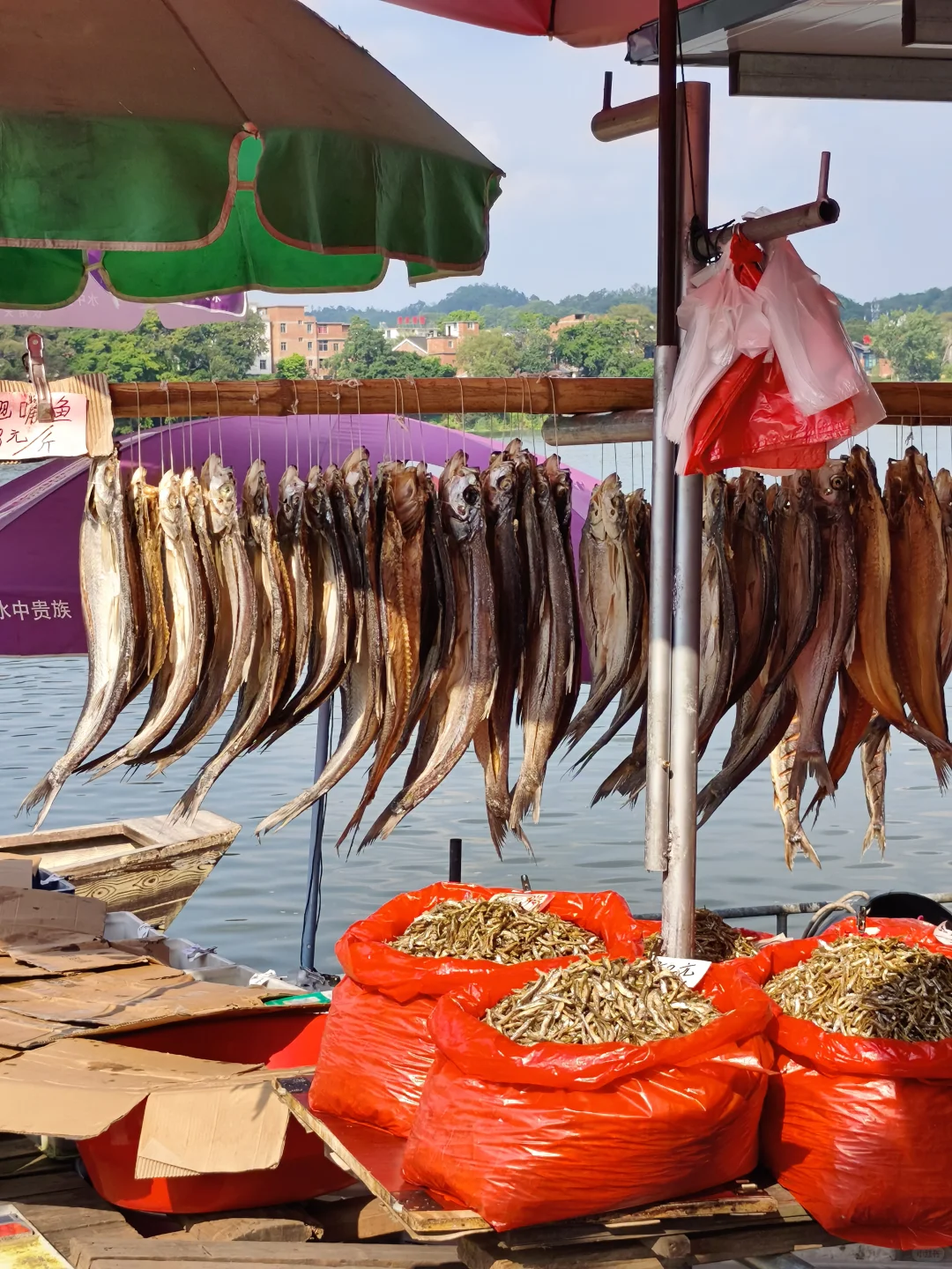 打工人周末出逃赣州🌉赣州古浮桥