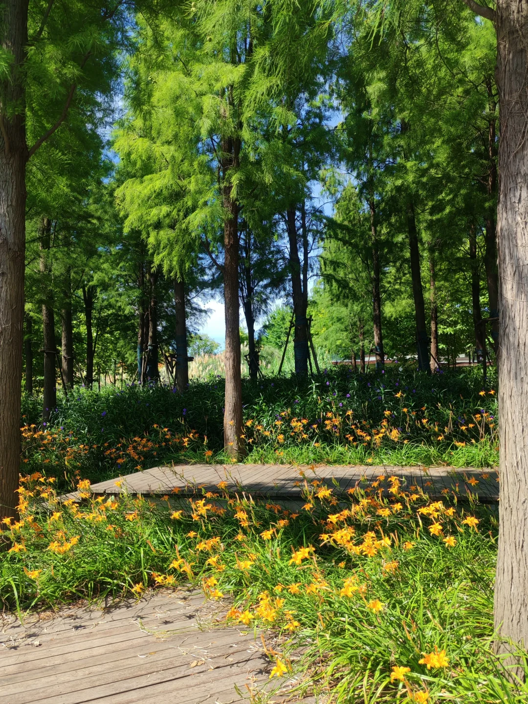 赣州超美的一个公园…