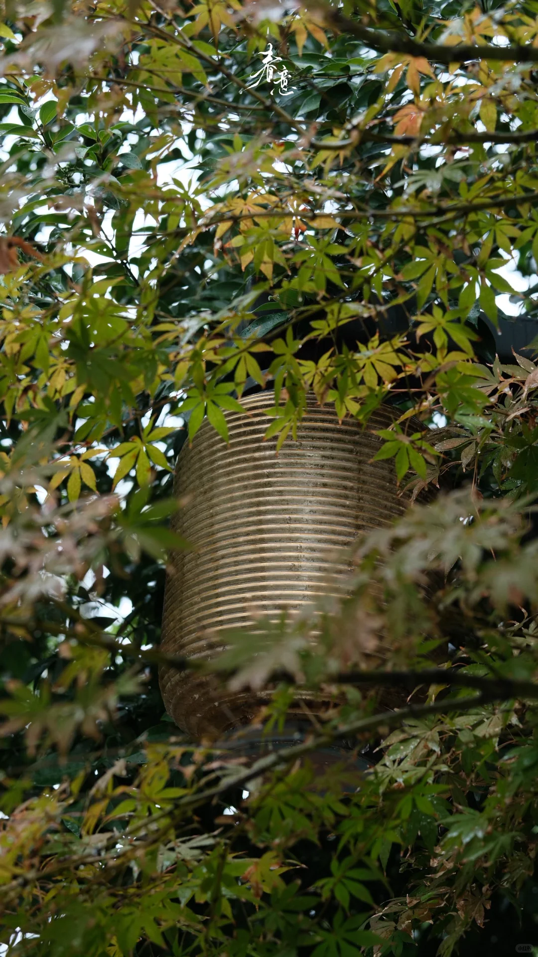 赣州｜八境公园