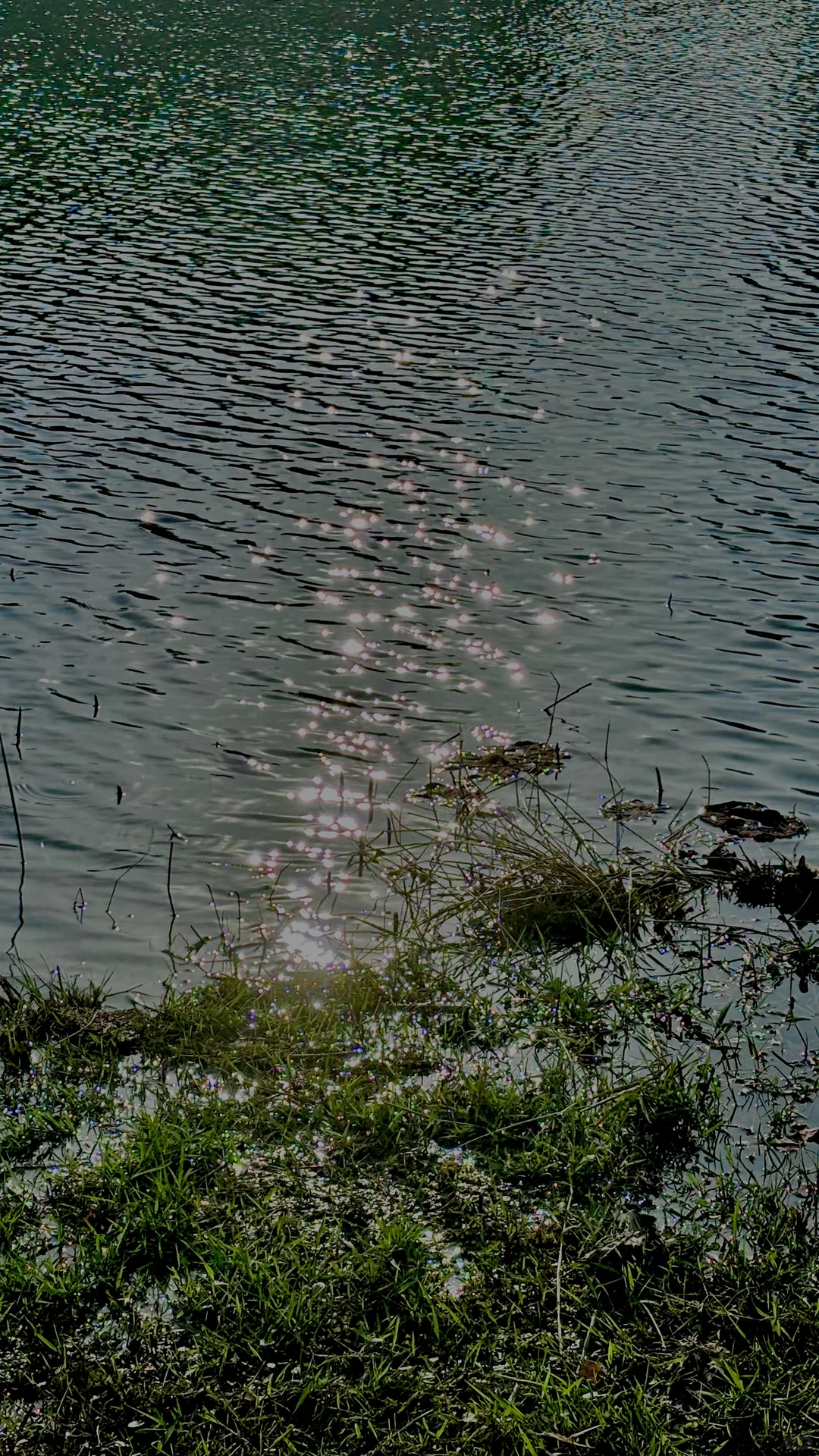 真的不是在新疆I 赣州上大分