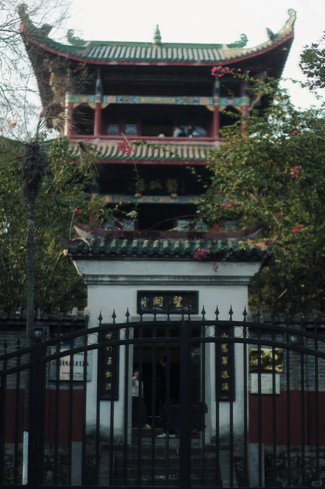 赣州 | 不就是真江南吗🏮