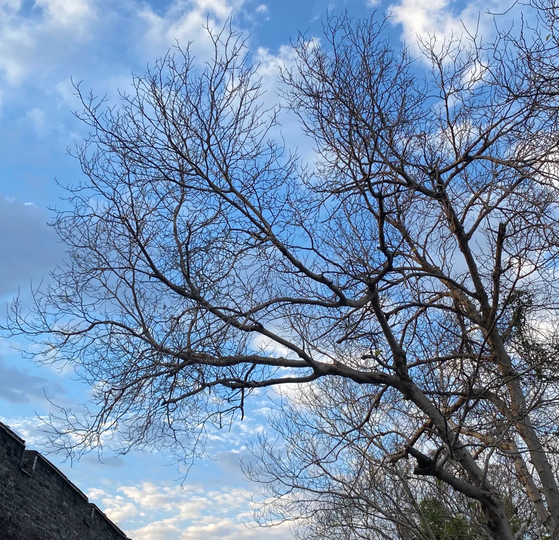 “江南宋城”赣州｜城区一日游线路分享