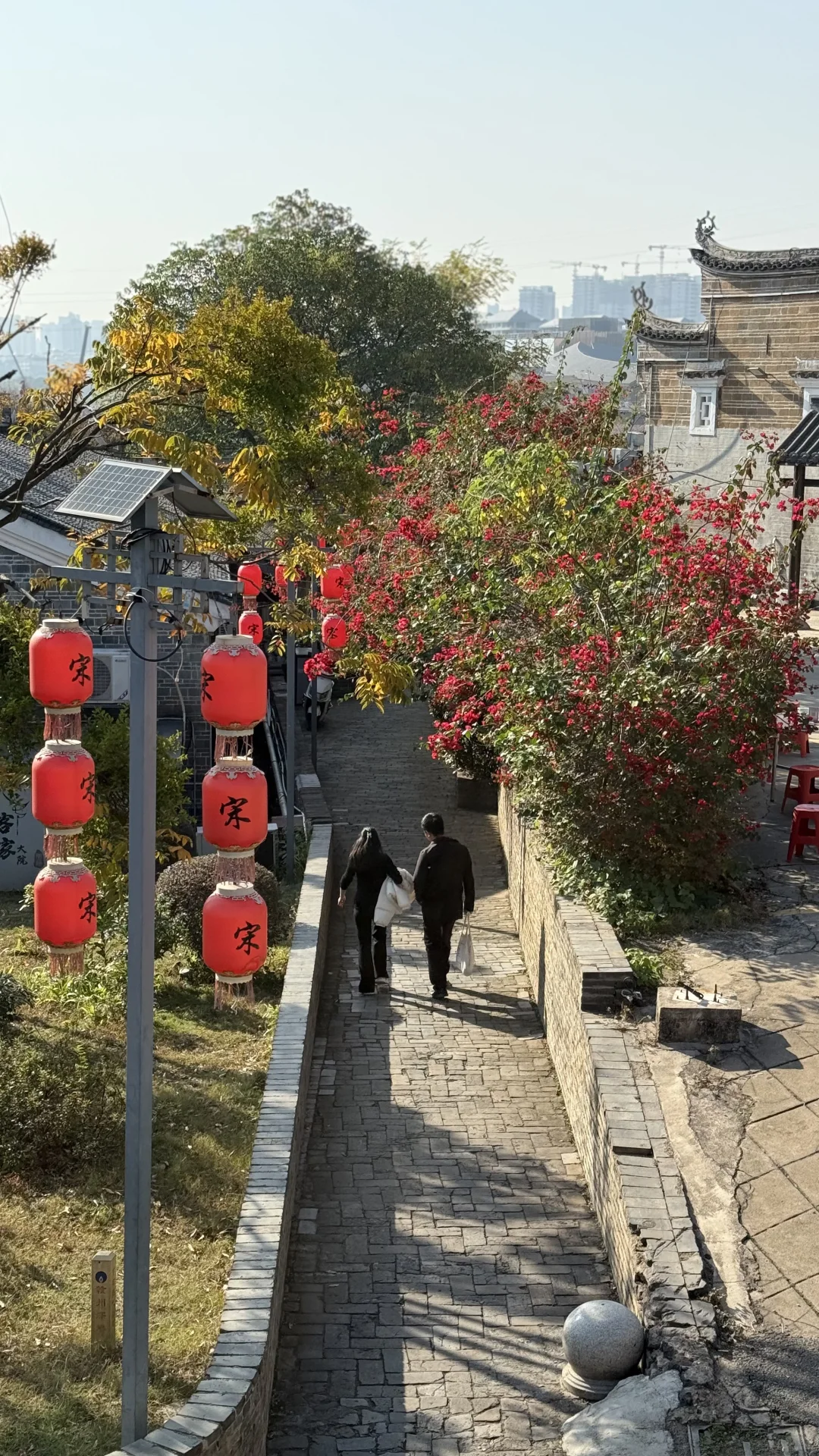 12月的赣州是橙香肆意🍊美不胜收