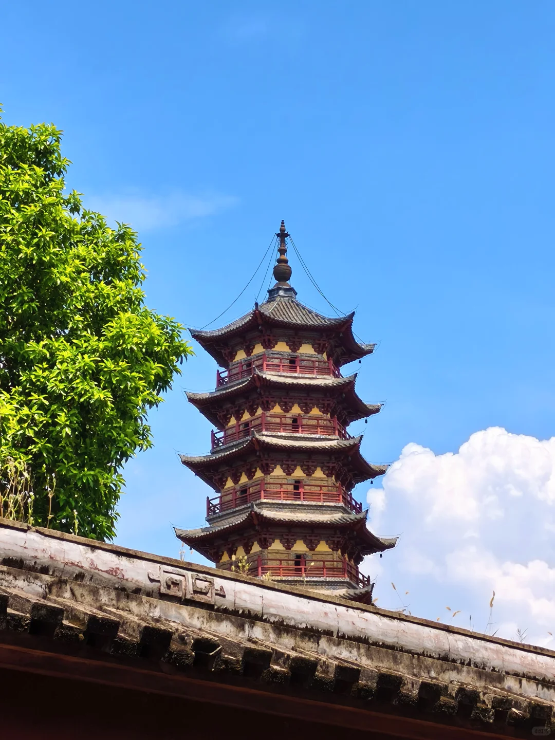 赣州Citywalk ✨文庙逛到不想走