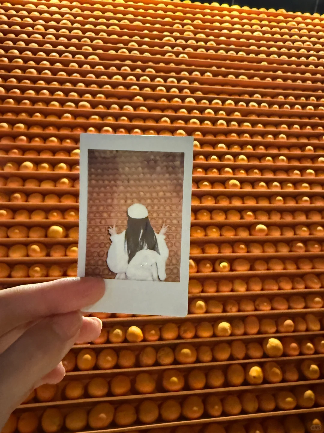 2025🍊心想事“橙”～（赣州宋城版