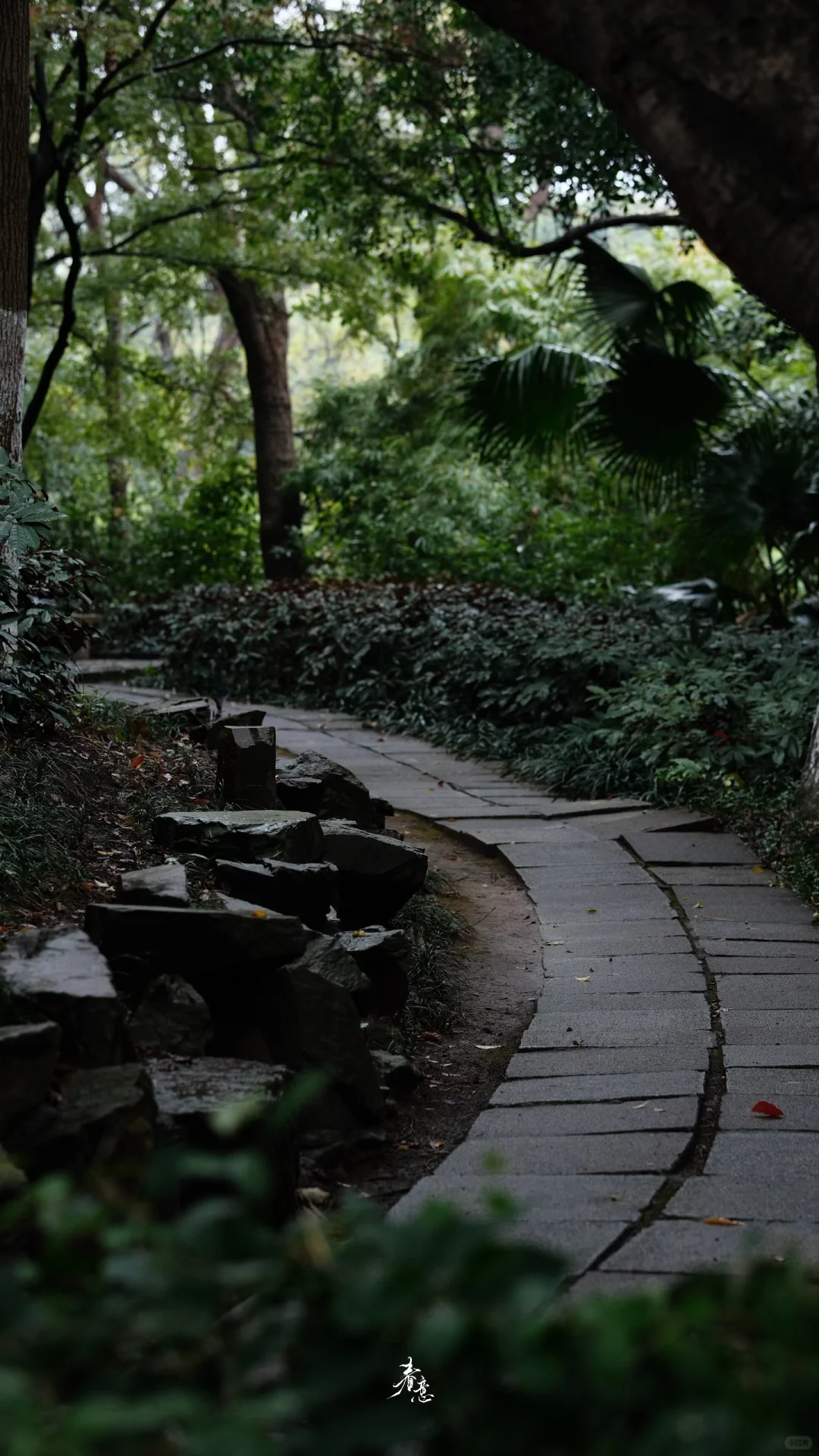 赣州｜八境公园