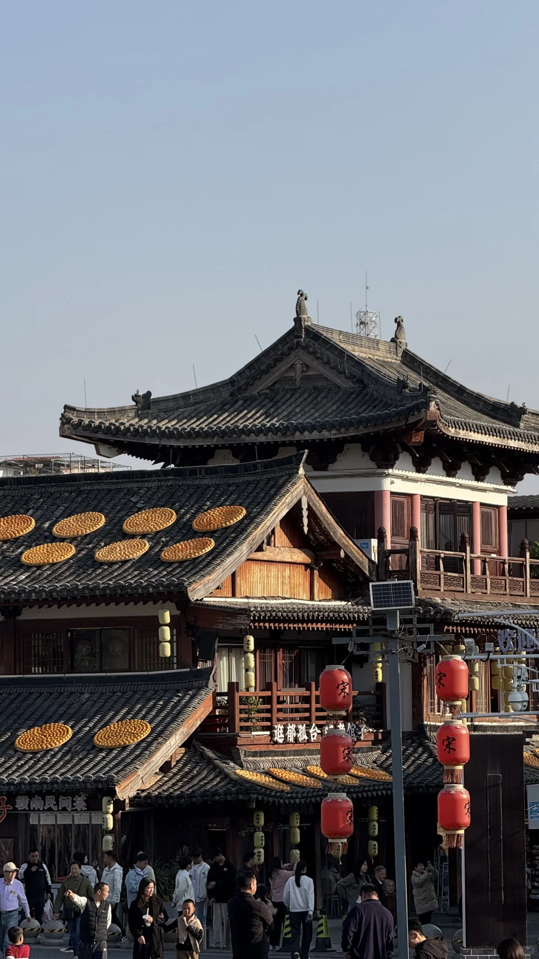 12月的赣州是橙香肆意🍊美不胜收