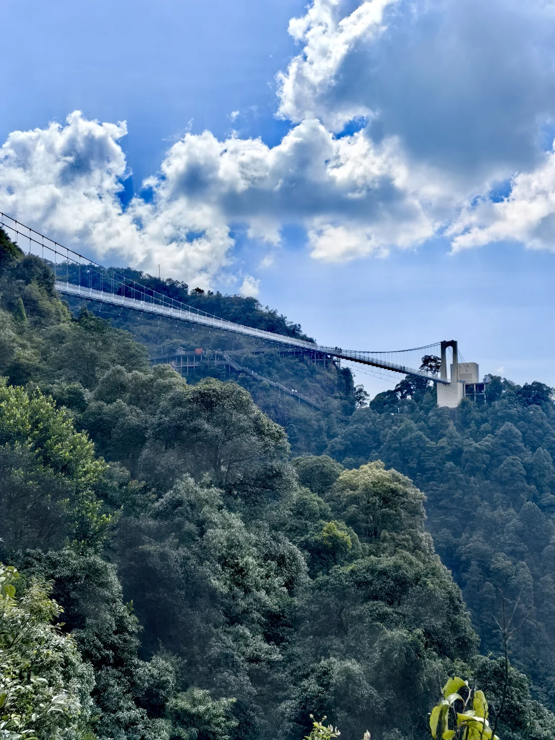 ⛳饮水思源——江西三百山🏕
