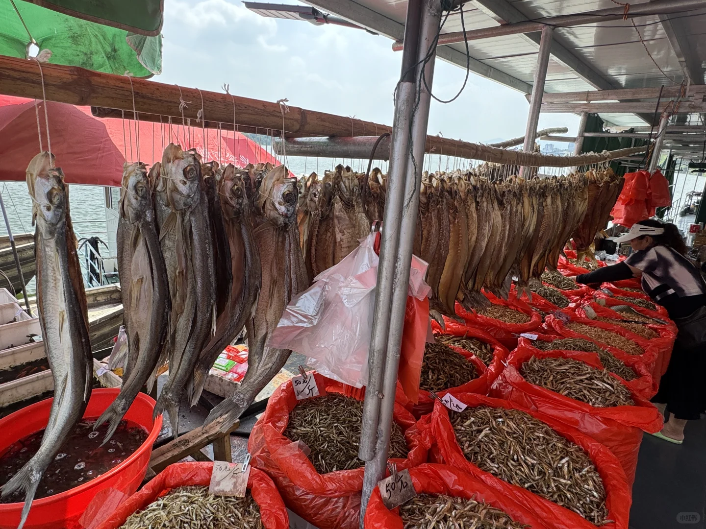 在赣州！久违的城市活力深深吸引了我！