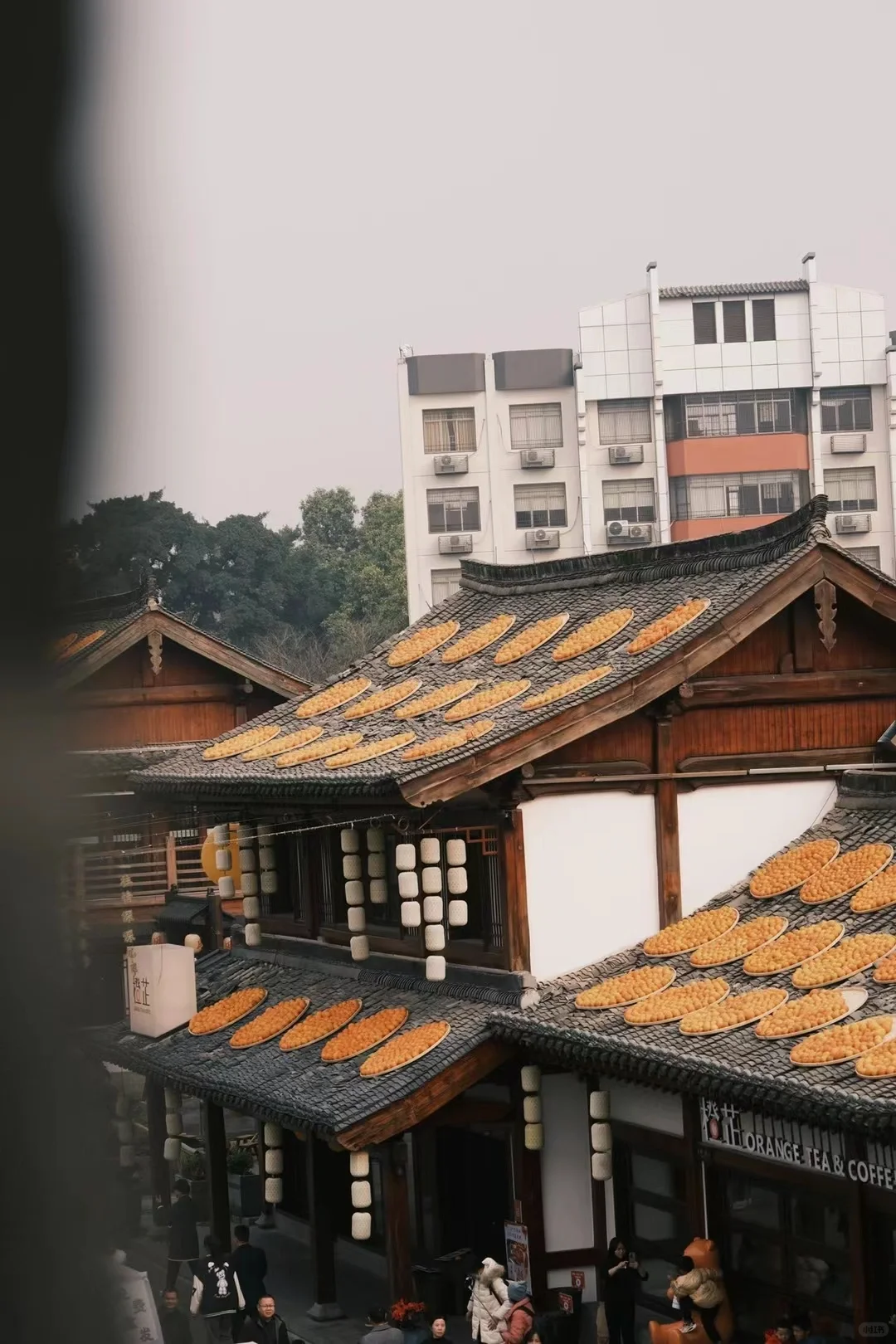 赣州这波赢麻了｜宋城和脐橙完美融合