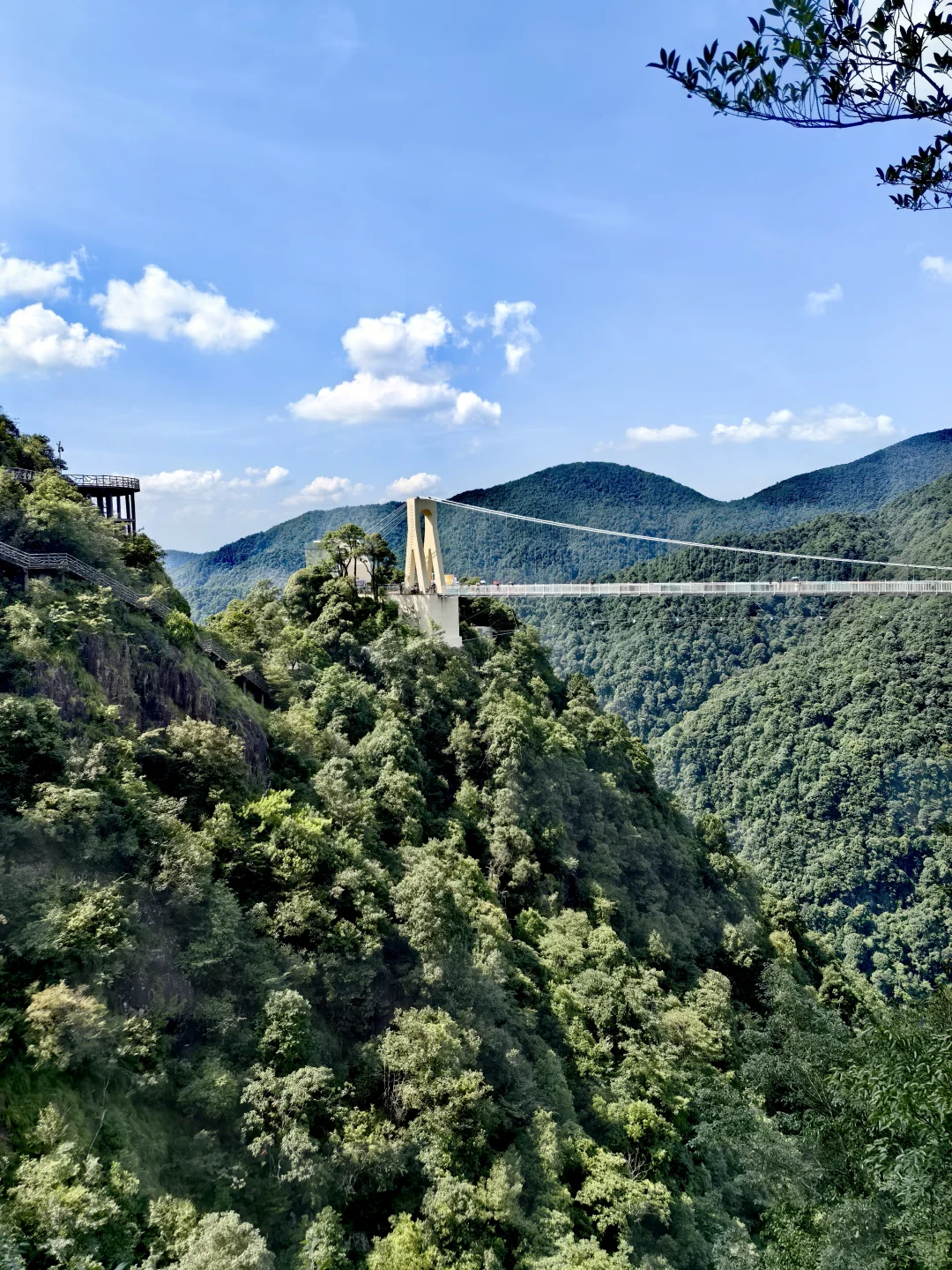 ⛳饮水思源——江西三百山🏕