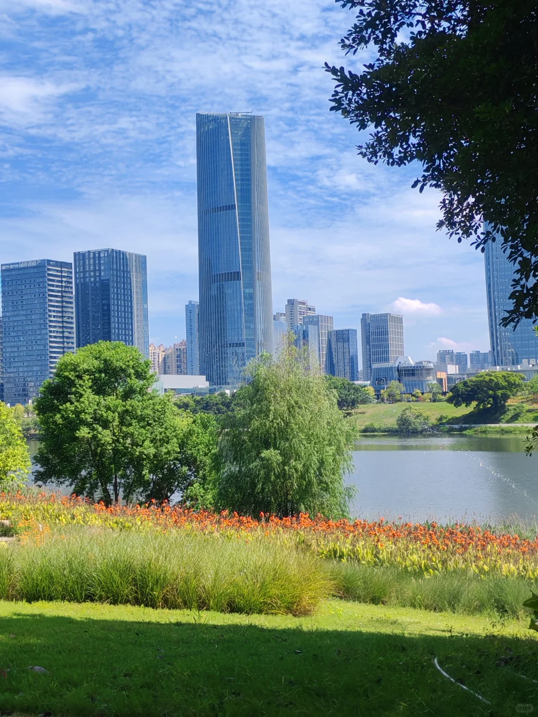 赣州超美的一个公园…