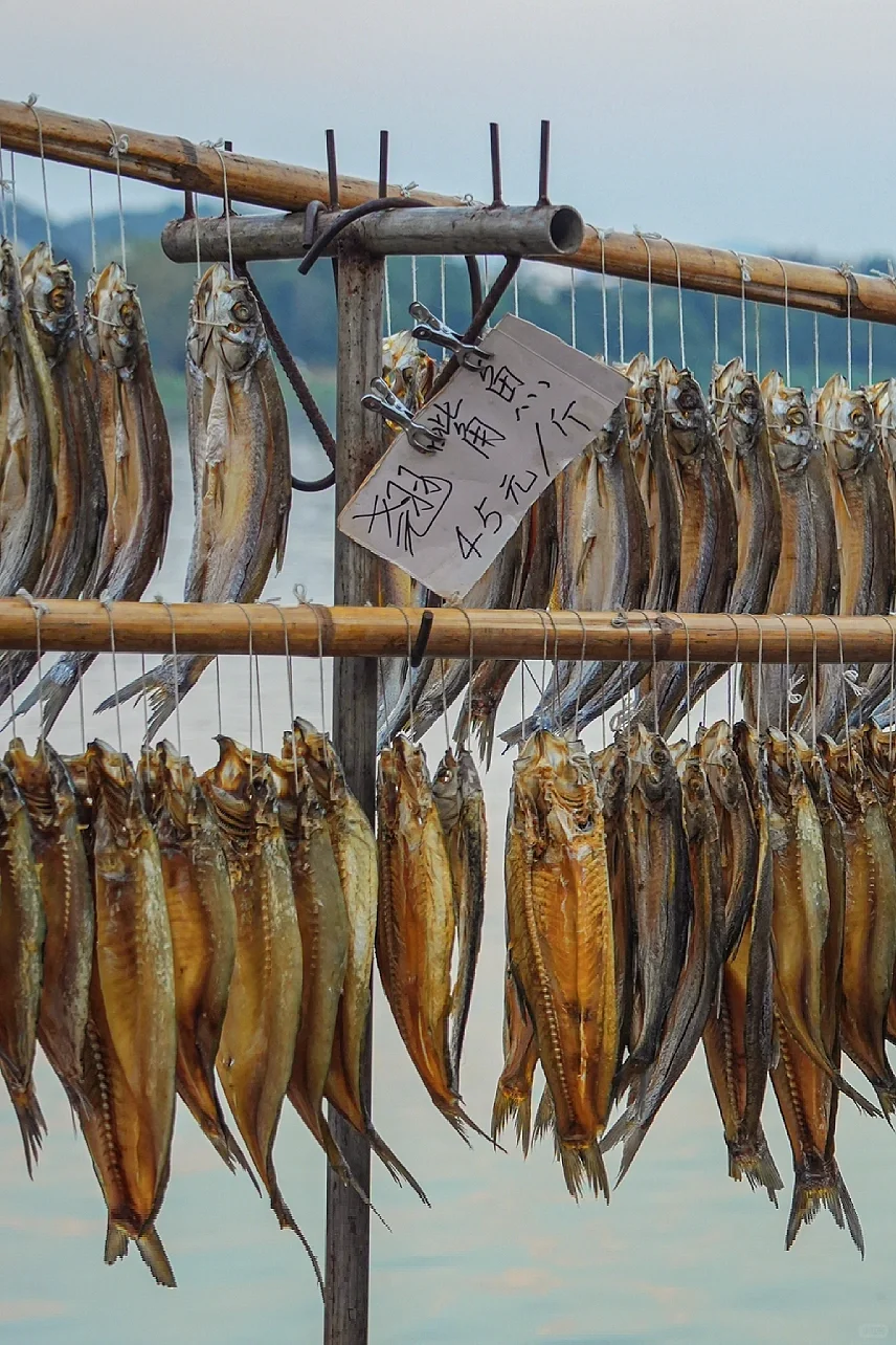 为了这个宋代古浮桥，我特意去了一趟赣州