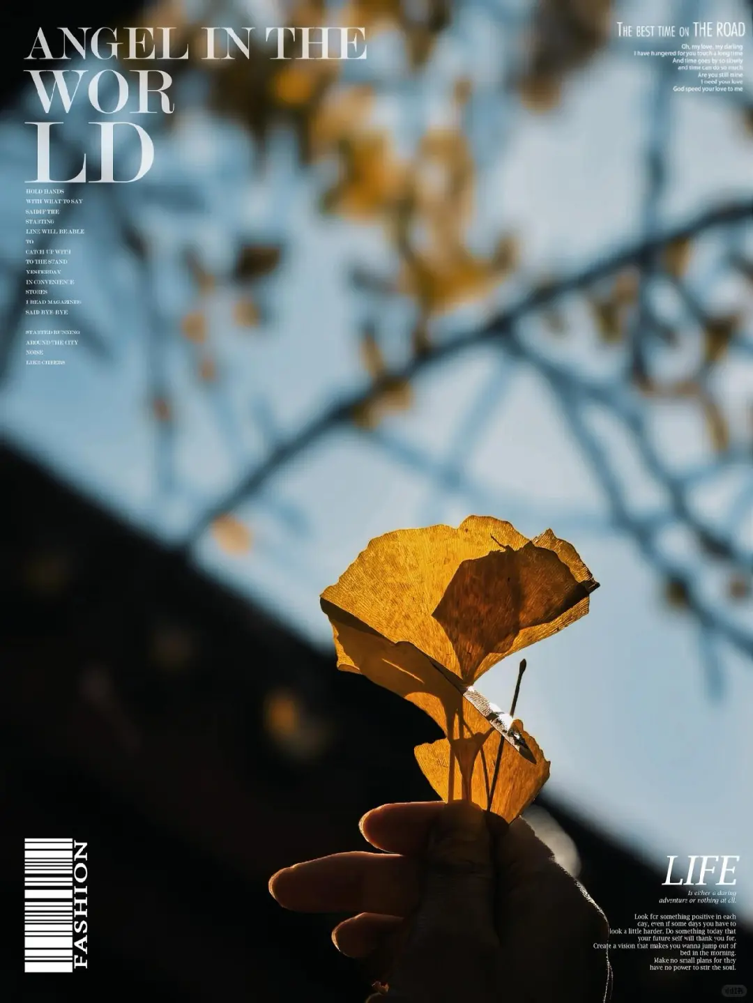 抚州黎川试院-孔庙的浪漫银杏～