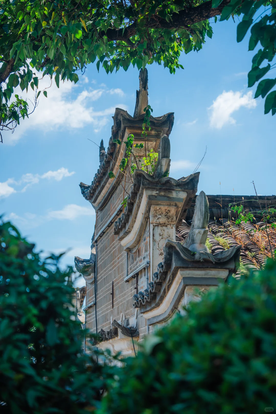 今年去过最冷门的宝藏小城！我很怕它火…