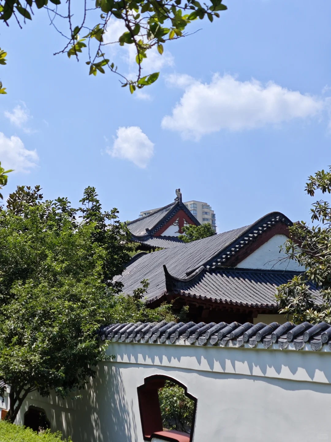 半天游玩抚州城攻略 抚州真的太好拍了