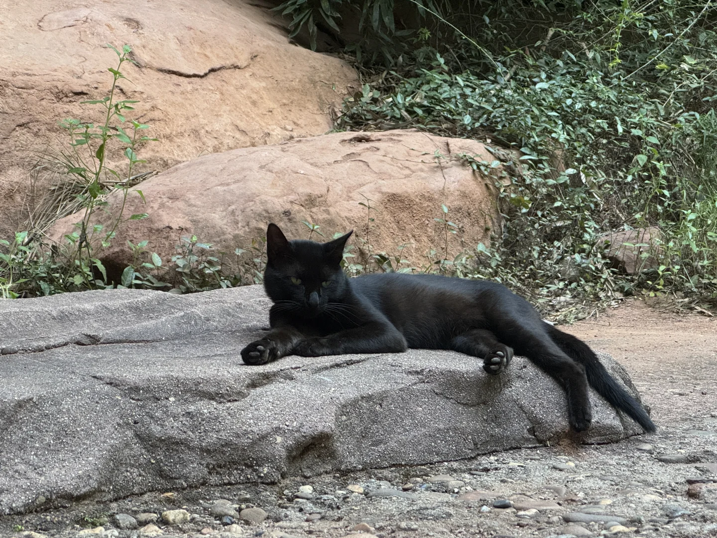 在赣州！久违的城市活力深深吸引了我！