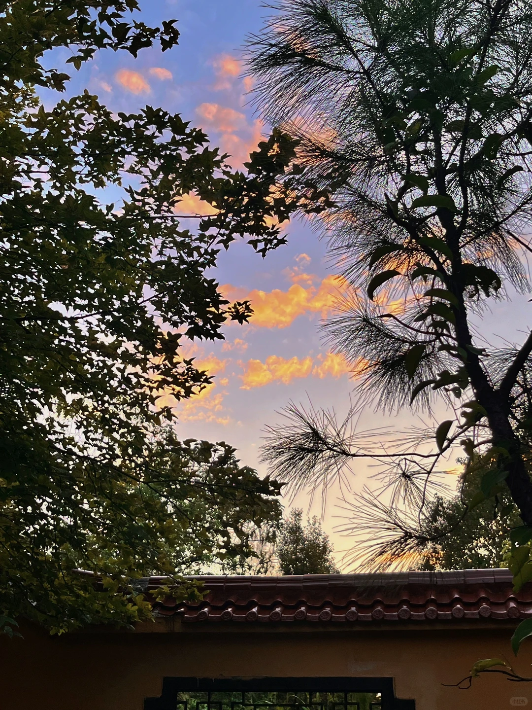 江西｜📍𝙂𝙖𝙣𝙕𝙝𝙤𝙪 ·2024.8.1 🚗