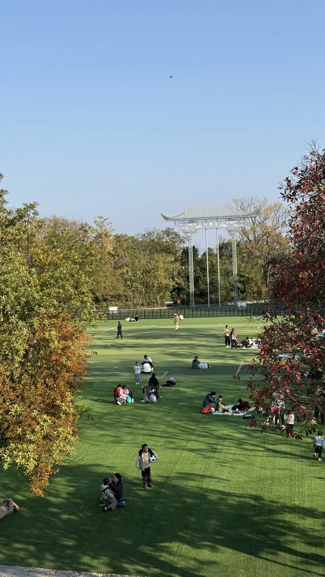 12月的赣州是橙香肆意🍊美不胜收