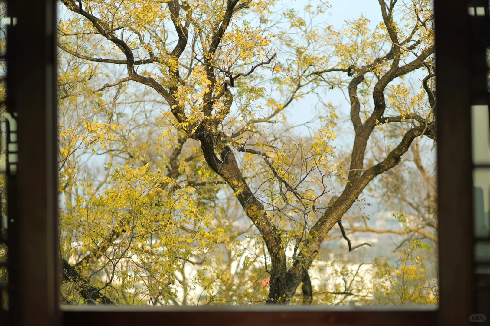 赣州 | 不就是真江南吗🏮