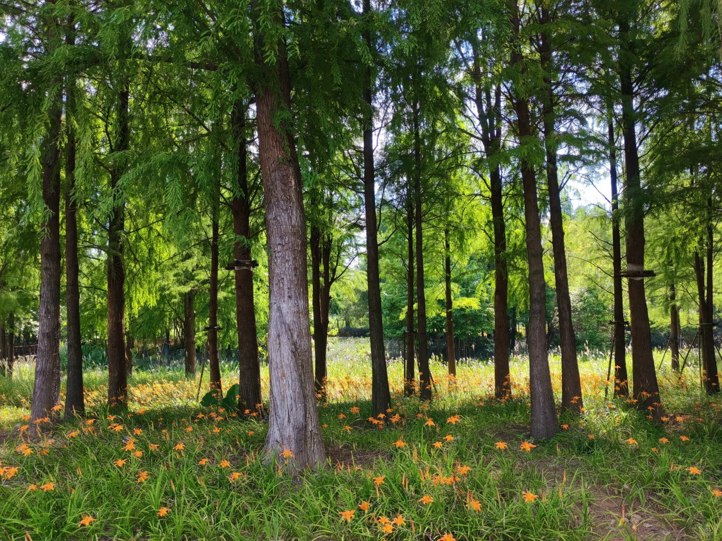 赣州超美的一个公园…