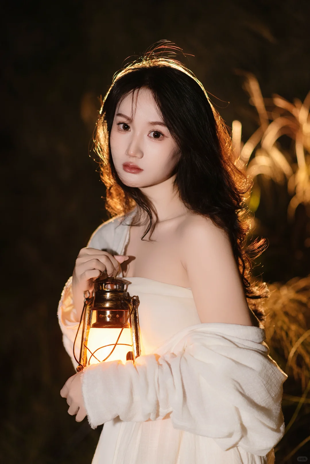 赣州芦苇彻底黄啦