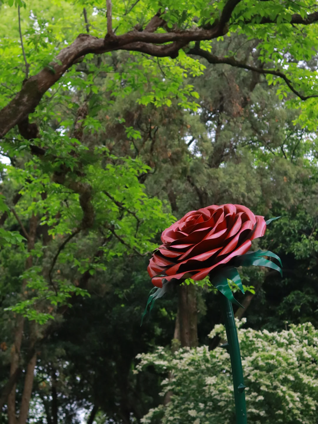 🔥五一逃离人海！冷门又宝藏的千年宋城