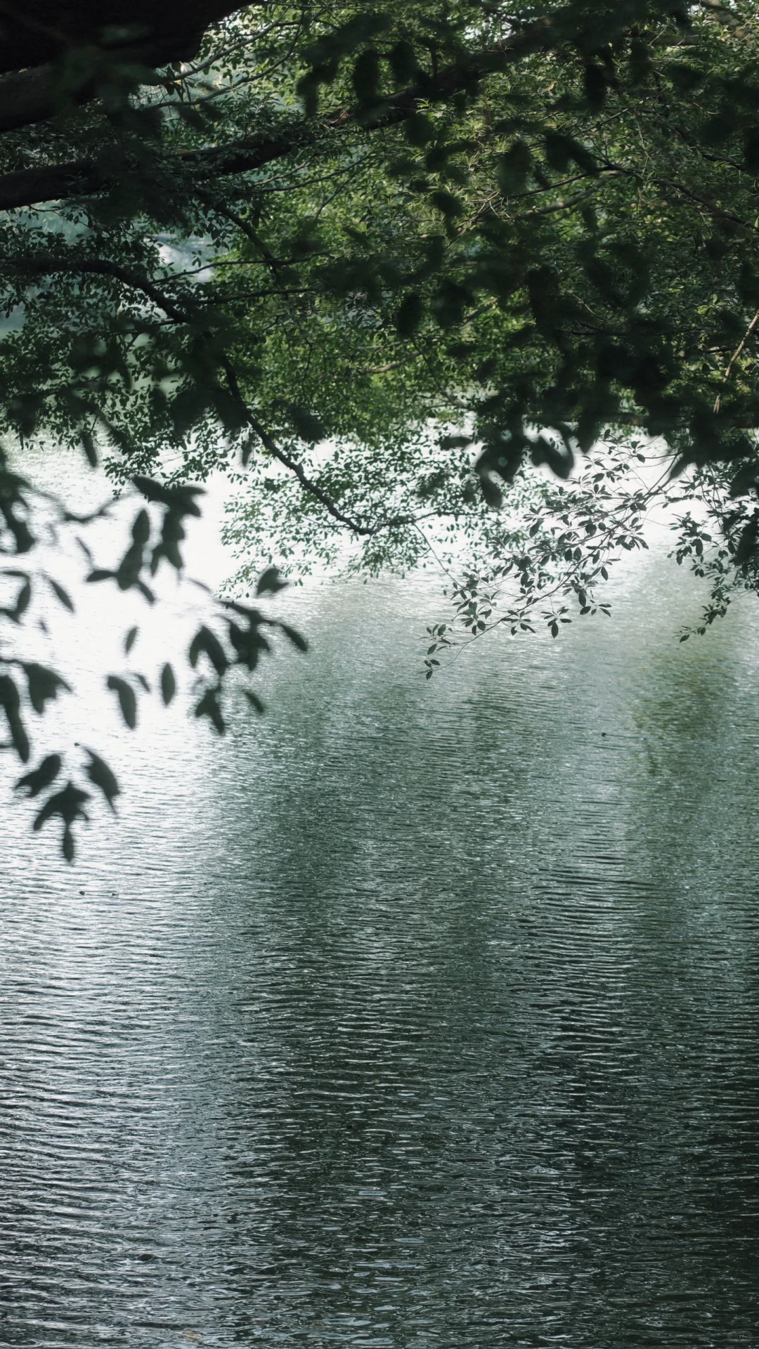 赣州 | 不就是真江南吗🏮