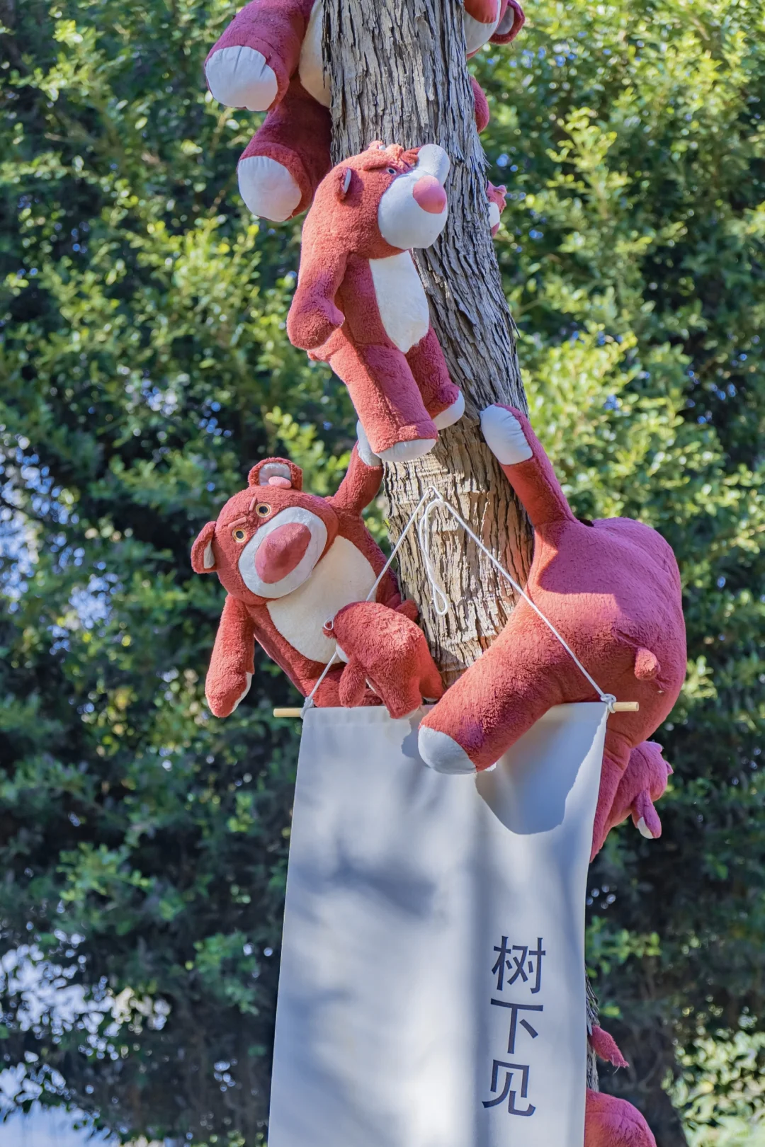 赣州的夏日松弛感