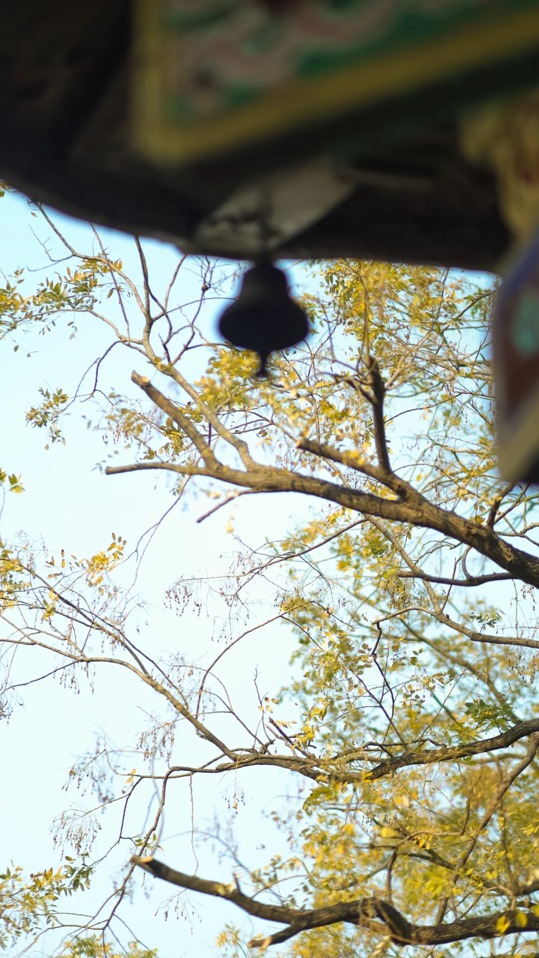 赣州 | 不就是真江南吗🏮