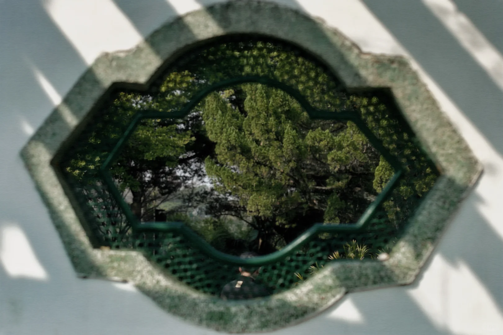 赣州 | 不就是真江南吗🏮