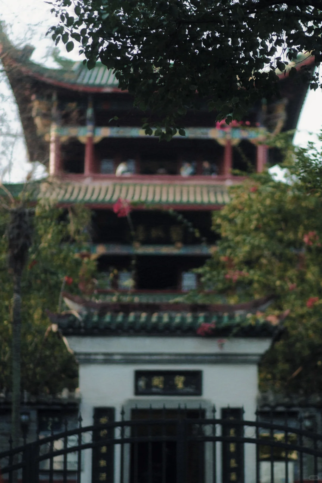 赣州 | 不就是真江南吗🏮