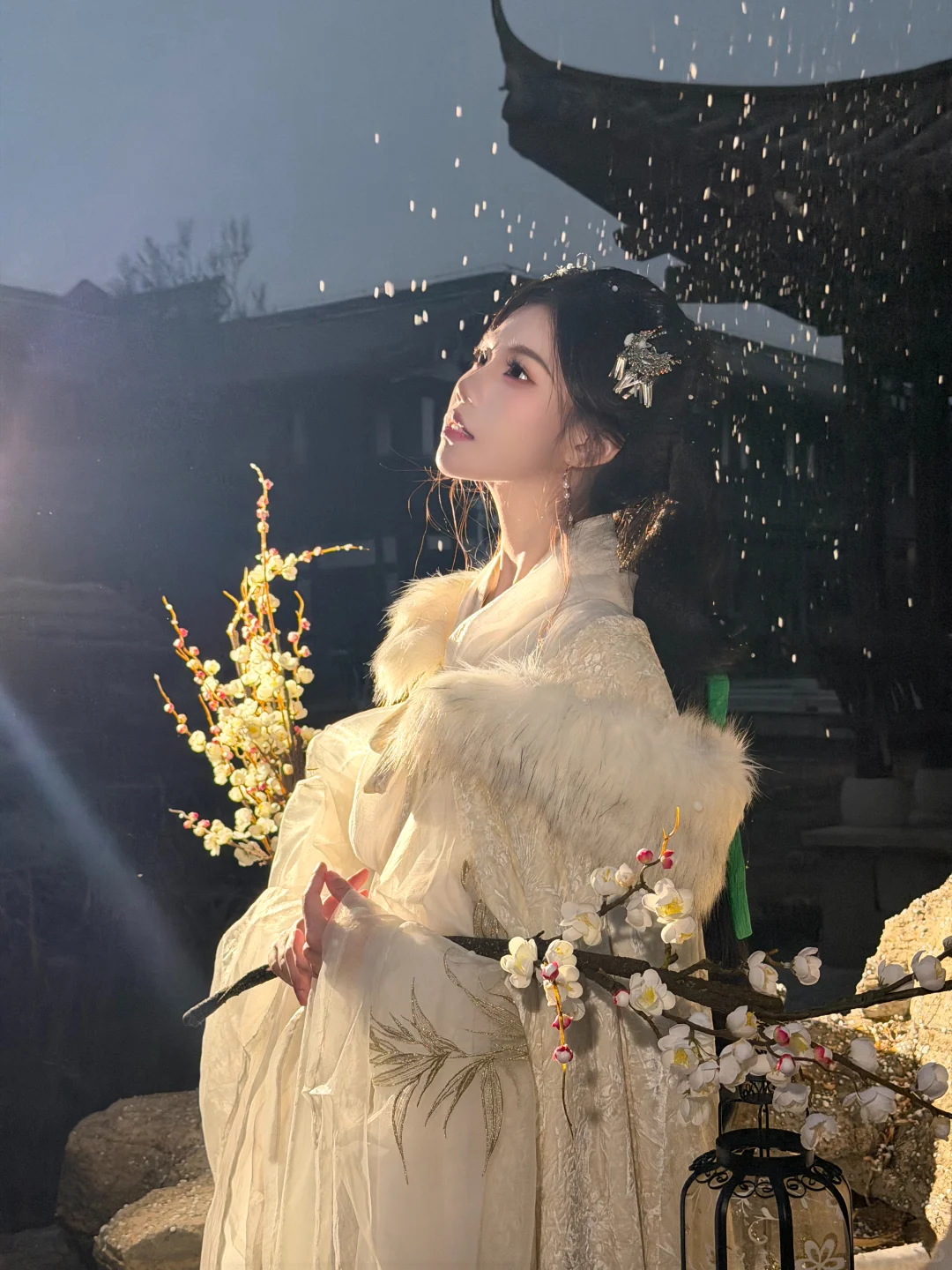 抚州写真|风雪依稀秋白发尾