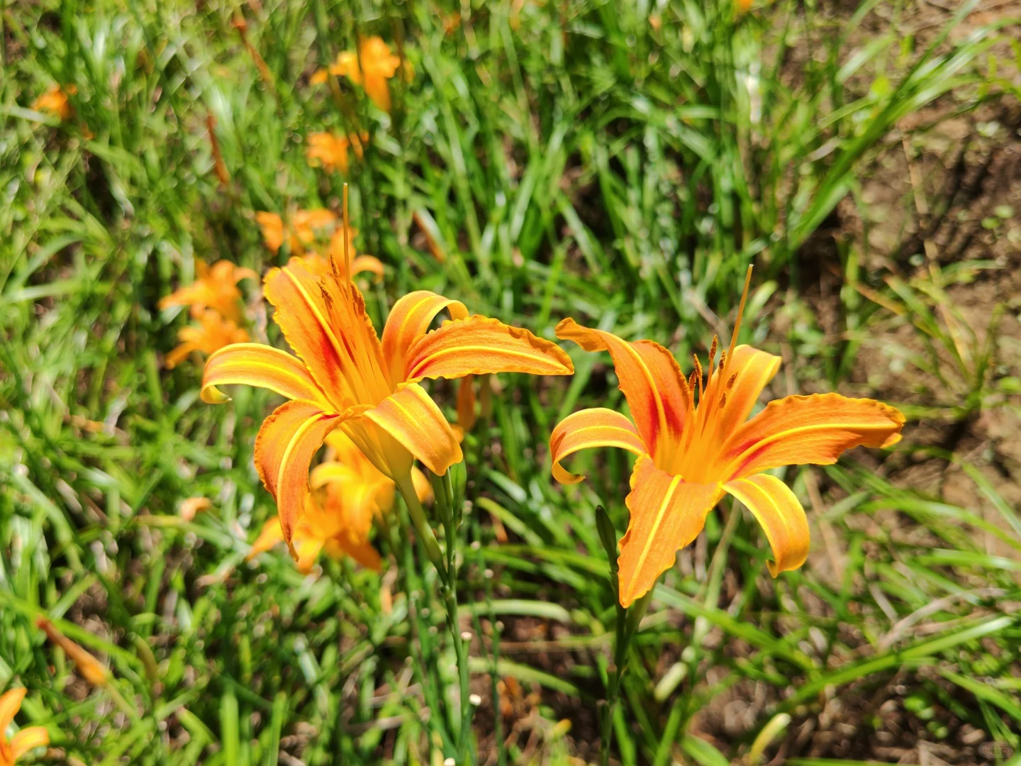 赣州超美的一个公园…