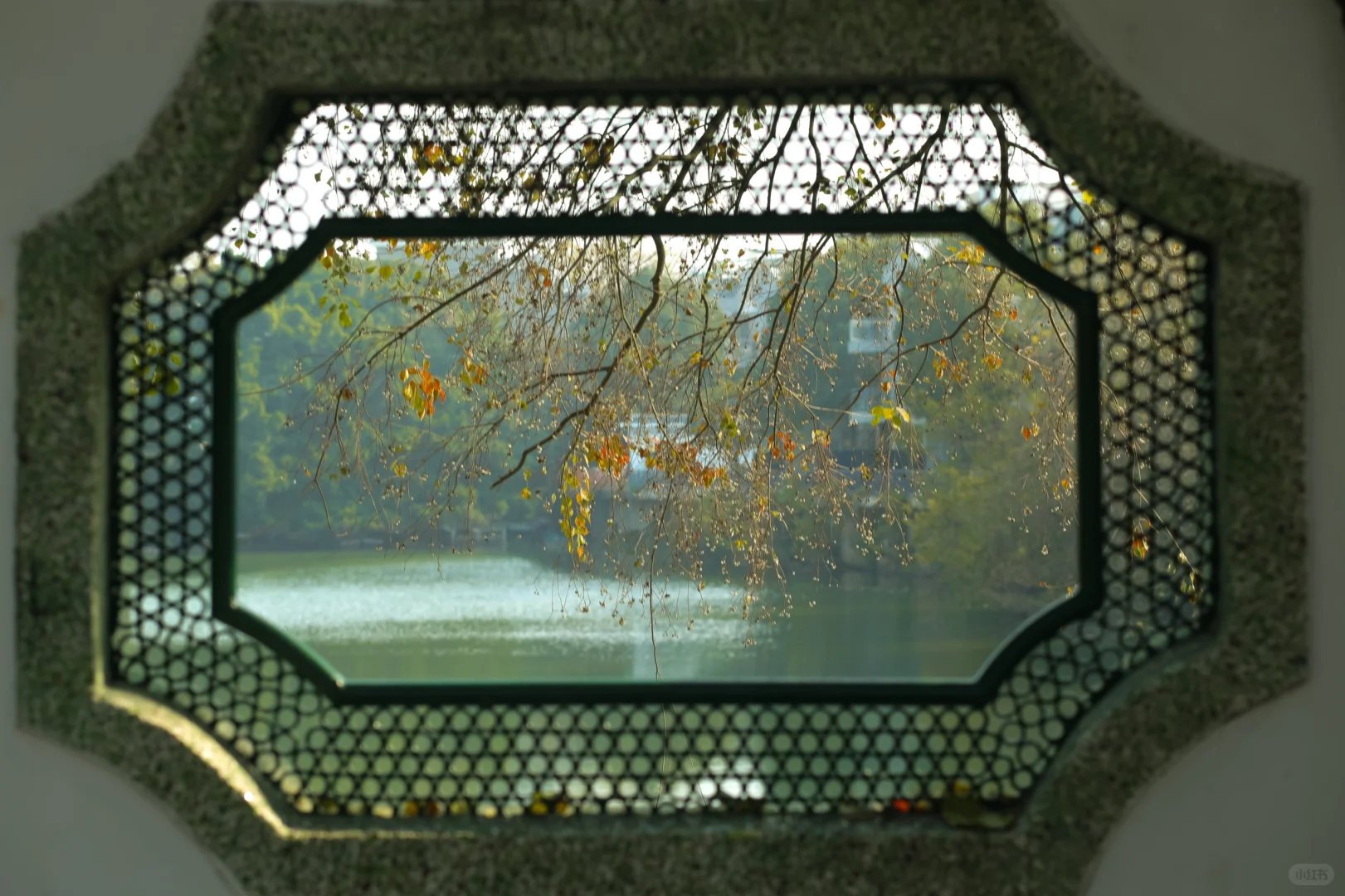 赣州 | 不就是真江南吗🏮