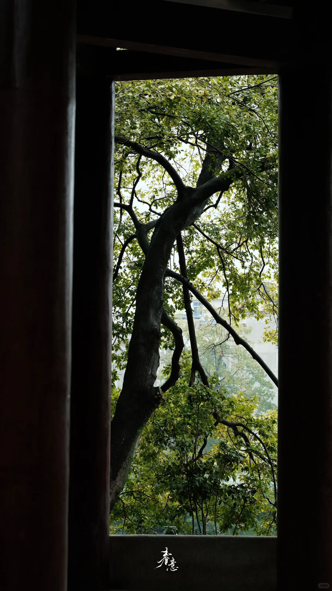 赣州｜八境公园