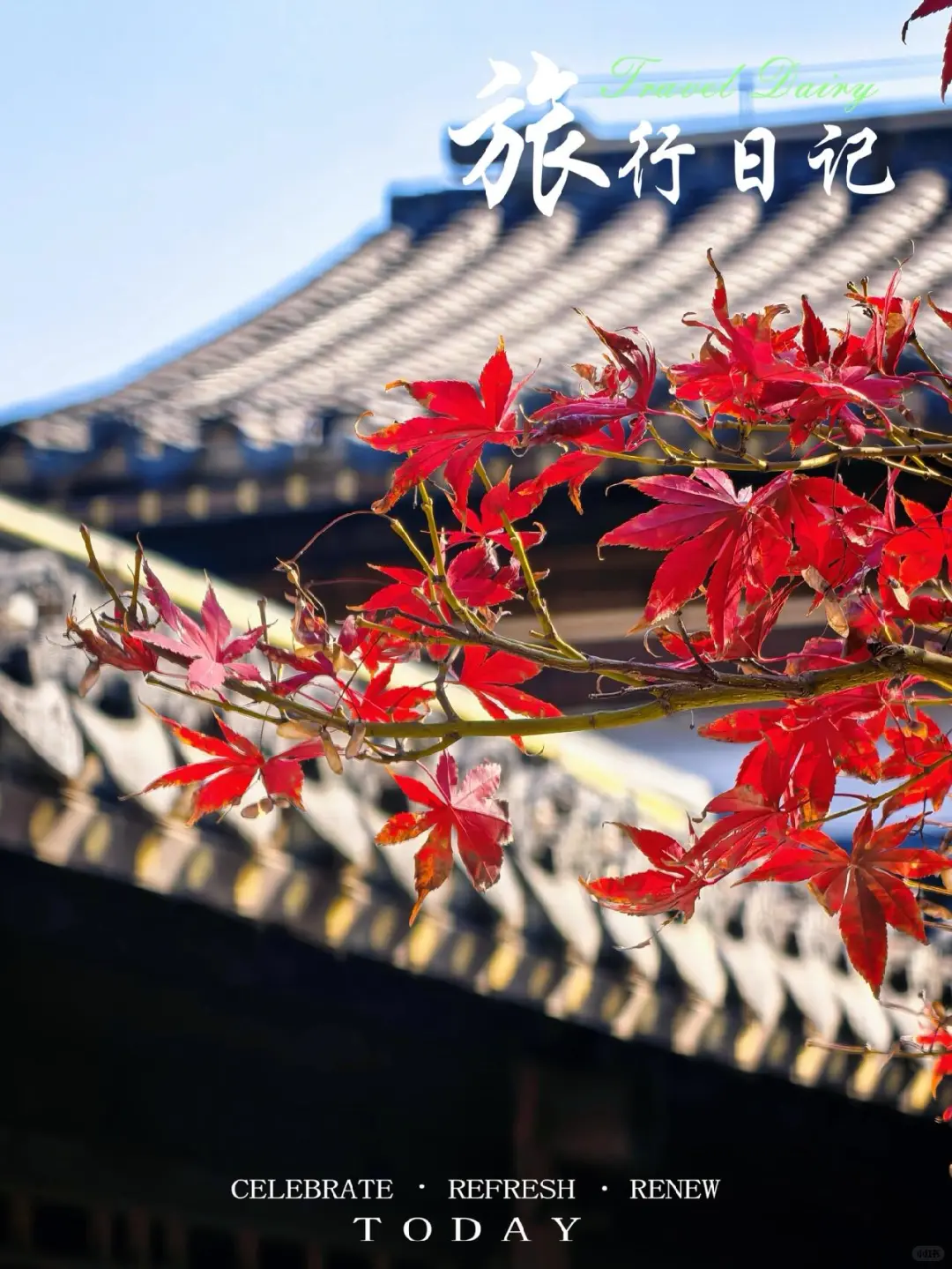 抚州黎川试院-孔庙的浪漫银杏～