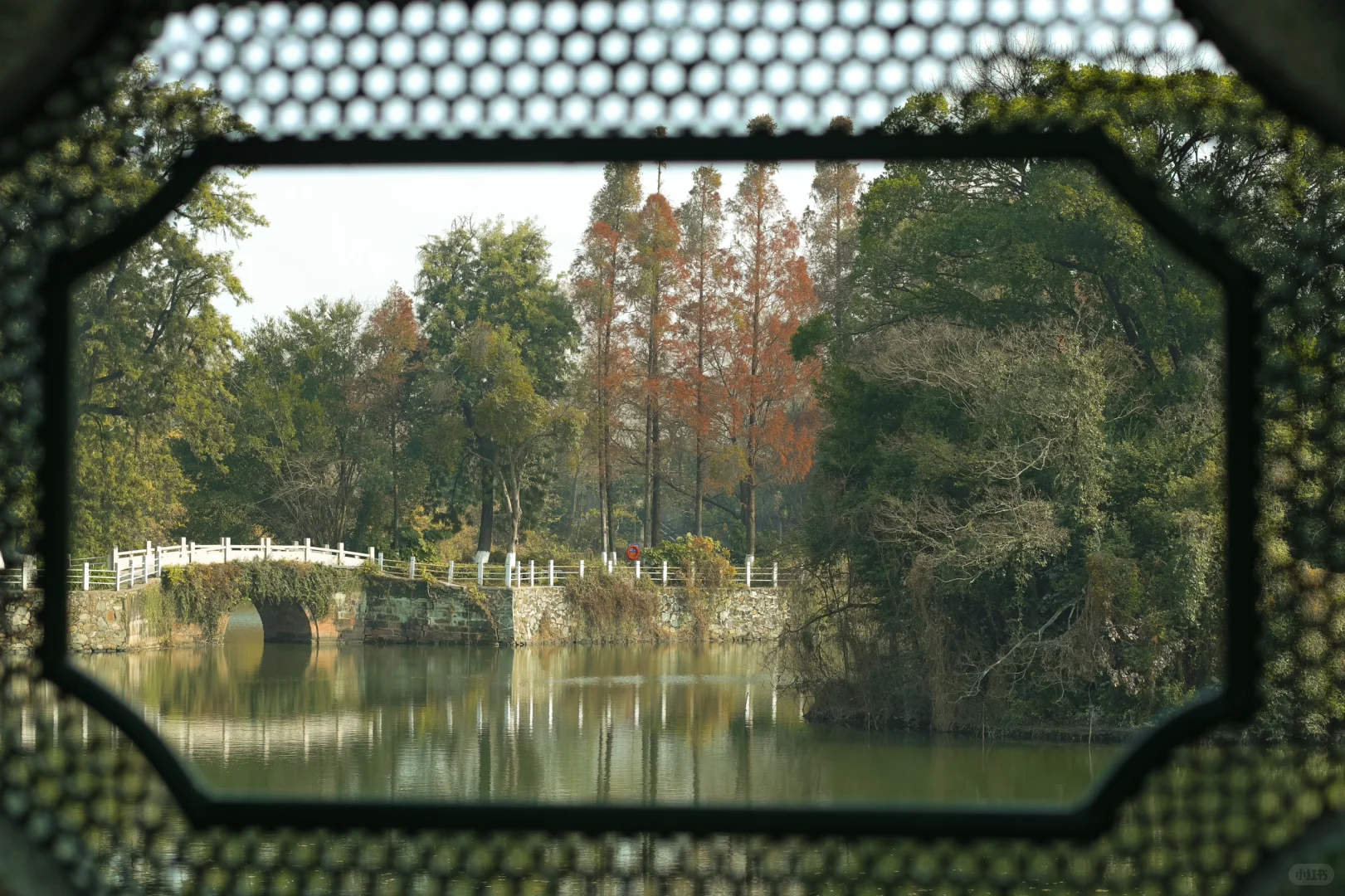 赣州 | 不就是真江南吗🏮