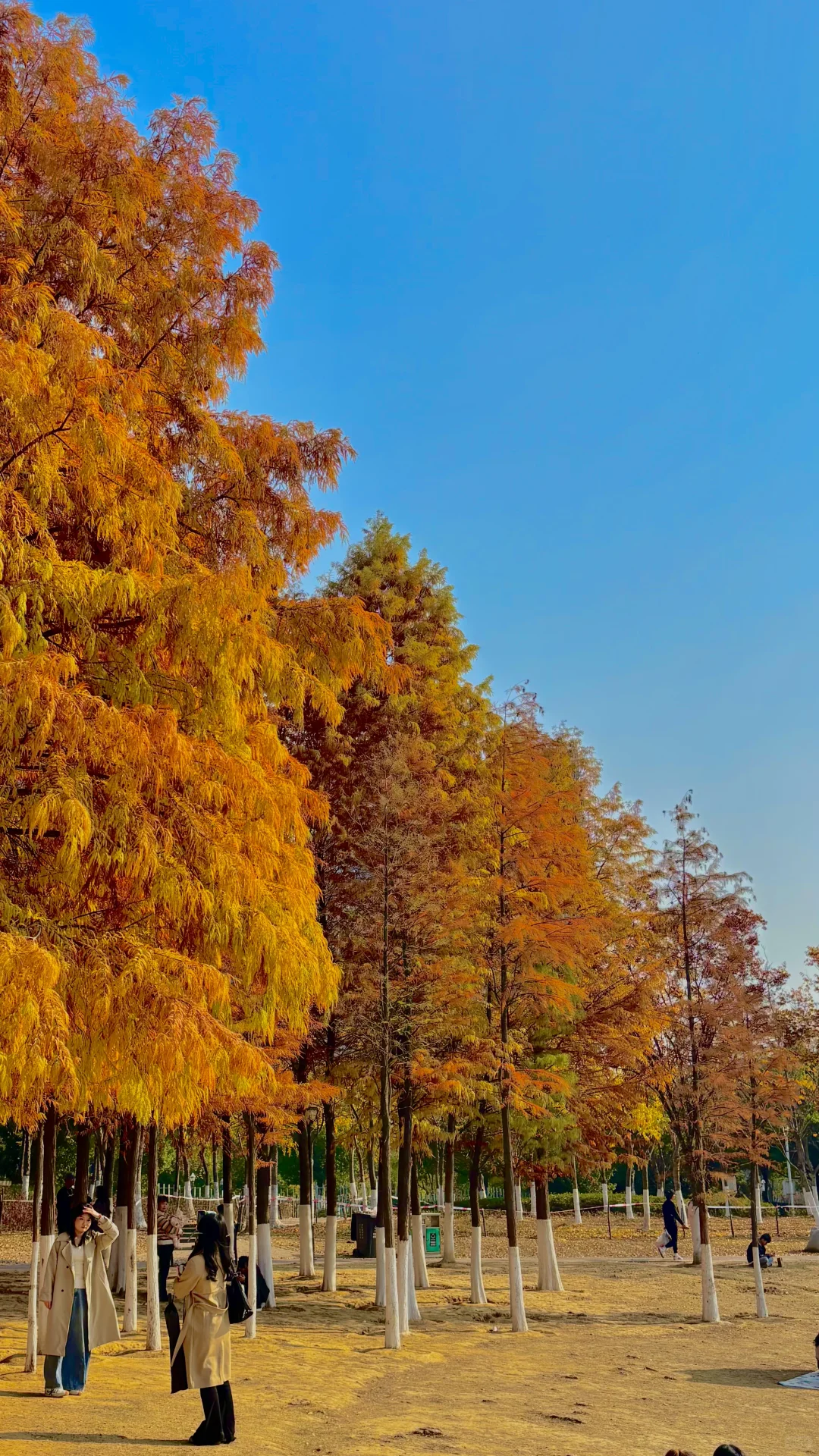 真的不是在新疆I 赣州上大分