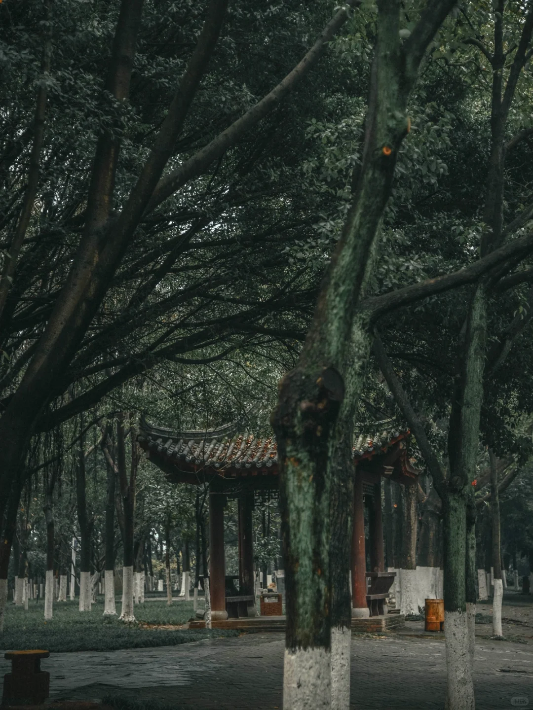 Herei s赣州 | 全国保存最为完整的宋城墙