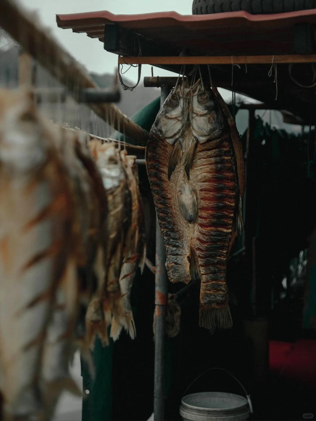 Herei s赣州 | 全国保存最为完整的宋城墙