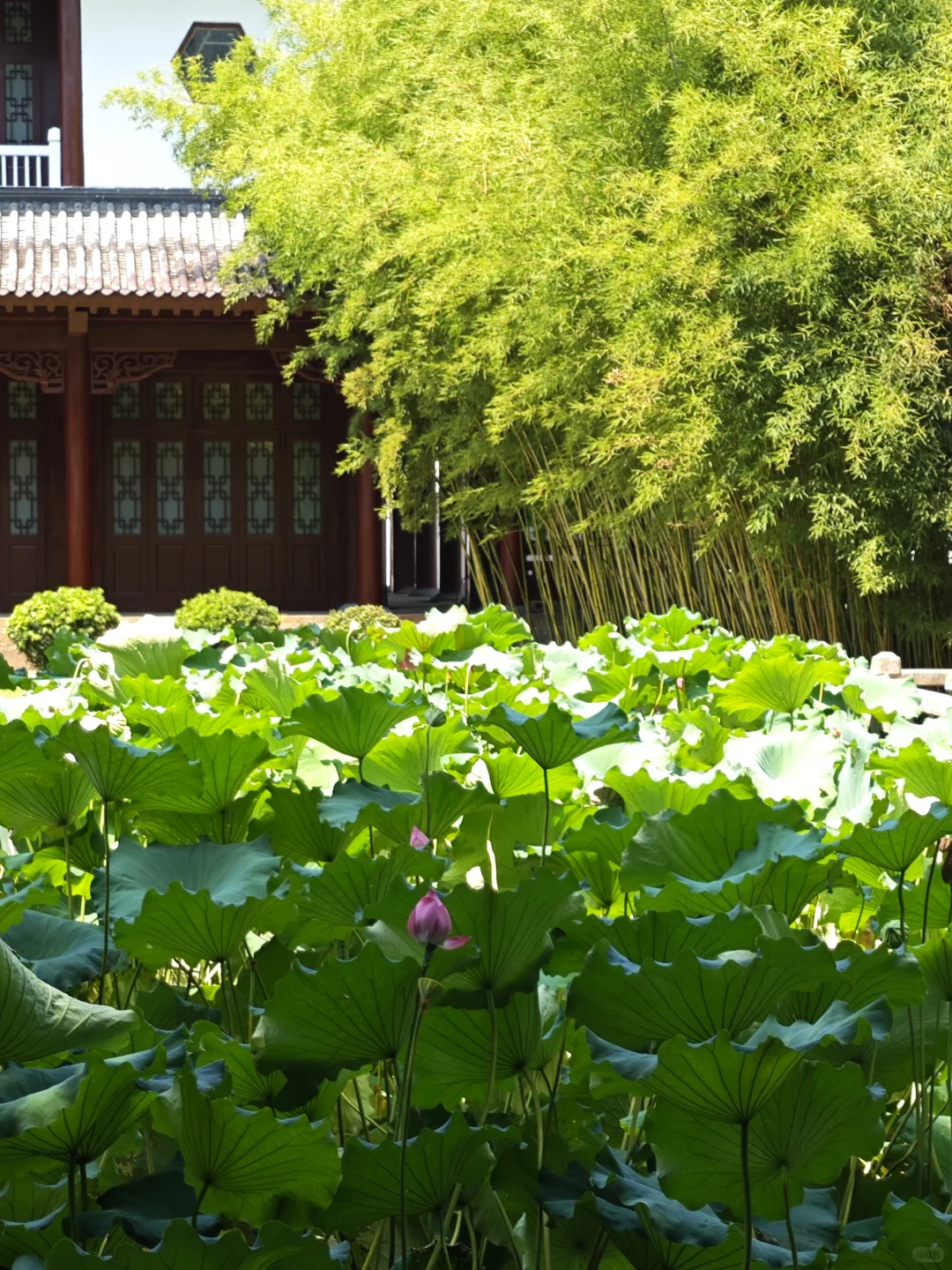 半天游玩抚州城攻略 抚州真的太好拍了